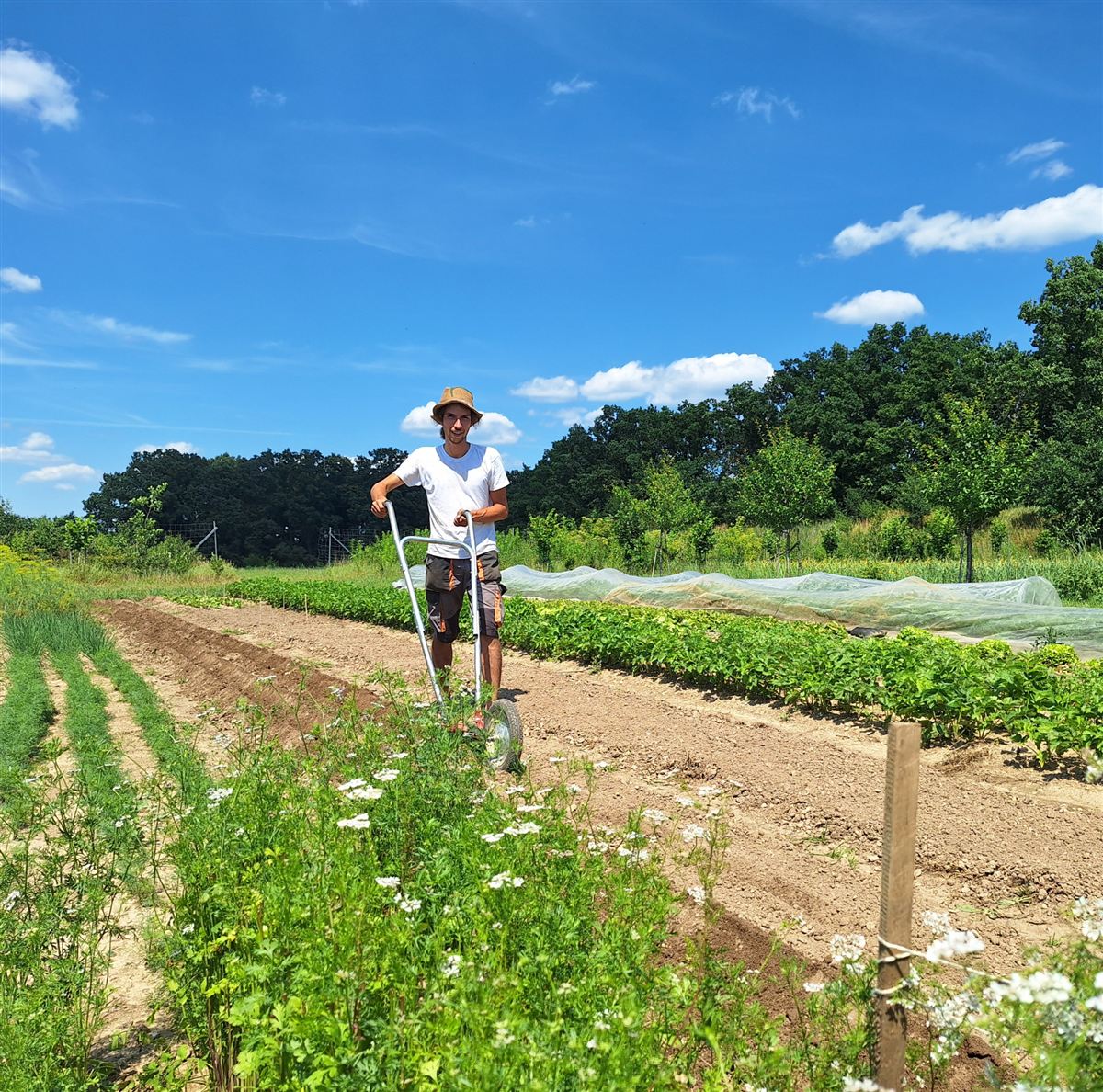Florian bei der Beetpflege mit der Radhacke auf dem Feld