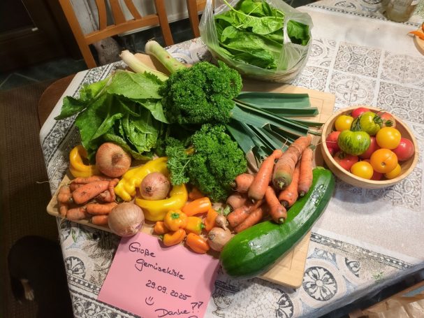 Großer Ernteanteil August