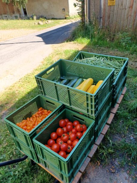 Sommerliche Ernte