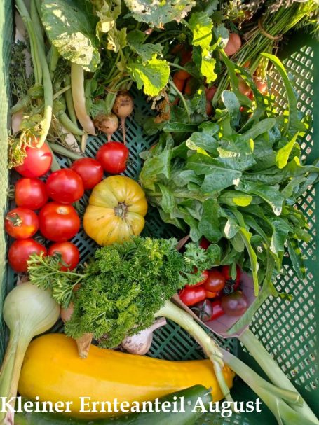 Kleiner Ernteanteil August